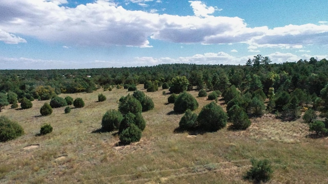 10398 Nm 337, Tijeras, NM 87059 - photo 23