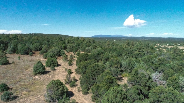 10398 Nm 337, Tijeras, NM 87059 - photo 22