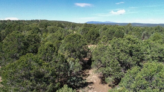 10398 Nm 337, Tijeras, NM 87059 - photo 21