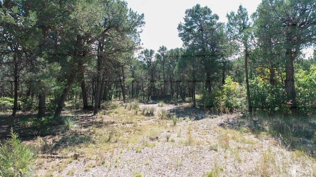 10398 Nm 337, Tijeras, NM 87059 - photo 20