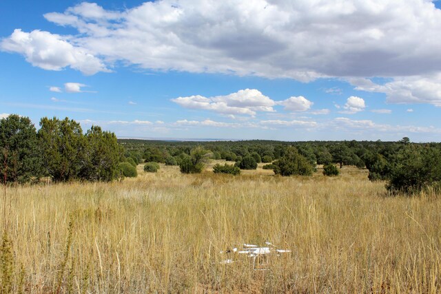 10398 Nm 337, Tijeras, NM 87059 - photo 19