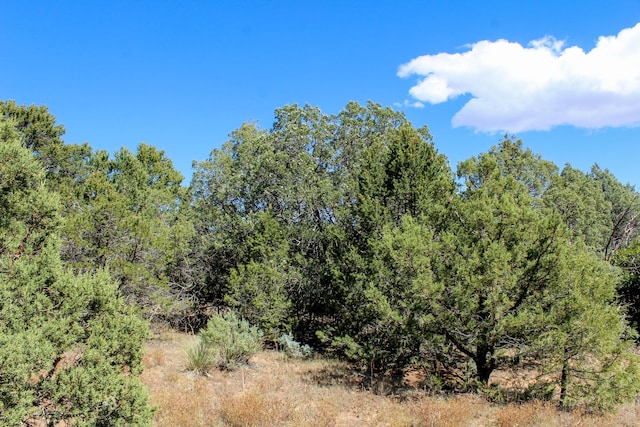10398 Nm 337, Tijeras, NM 87059 - photo 16