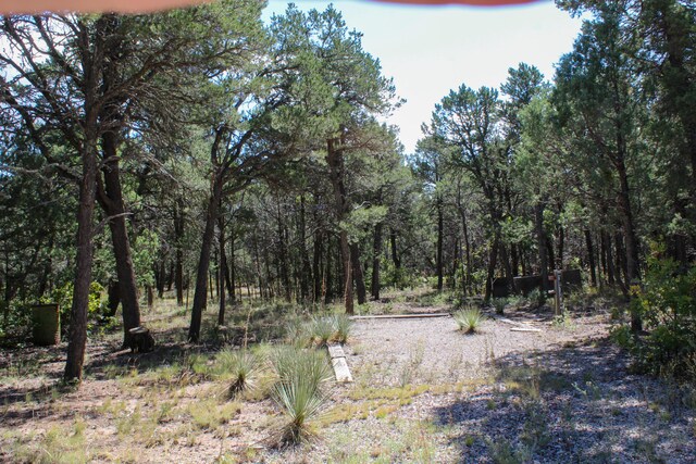 10398 Nm 337, Tijeras, NM 87059 - photo 15