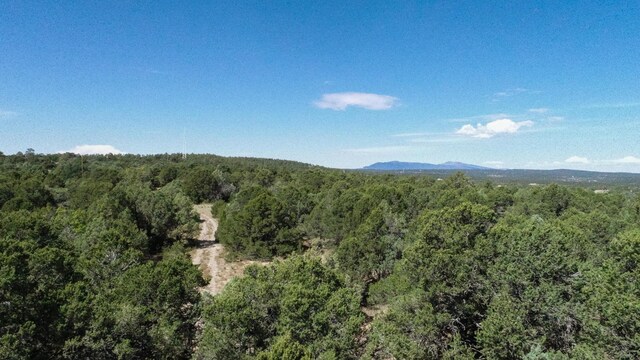 10398 Nm 337, Tijeras, NM 87059 - photo 12