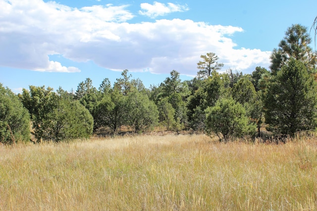 10398 Nm 337, Tijeras, NM 87059 - photo 11