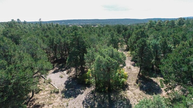 10398 Nm 337, Tijeras, NM 87059 - photo 10