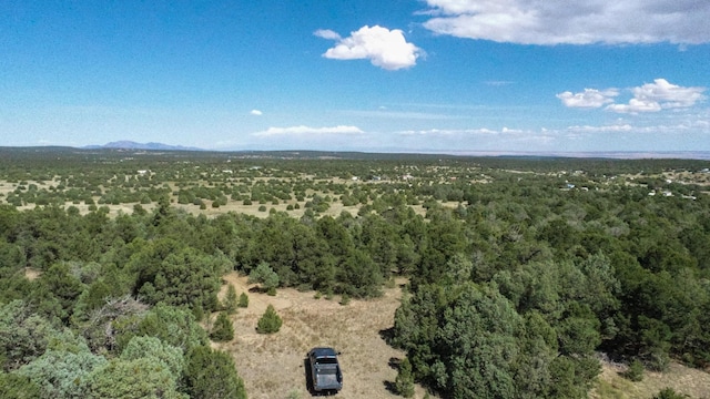 10398 Nm 337, Tijeras, NM 87059 - photo 9