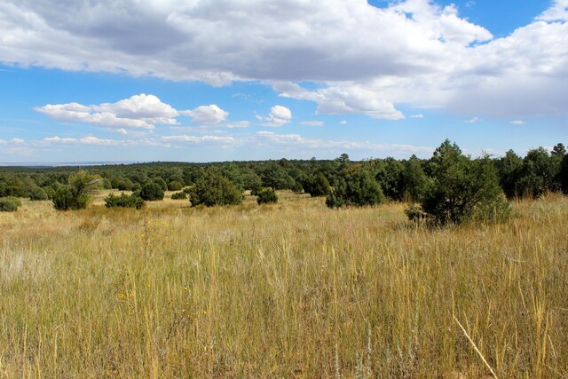 10398 Nm 337, Tijeras, NM 87059 - photo 7