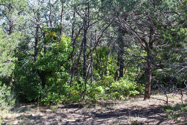 10398 Nm 337, Tijeras, NM 87059 - photo 35