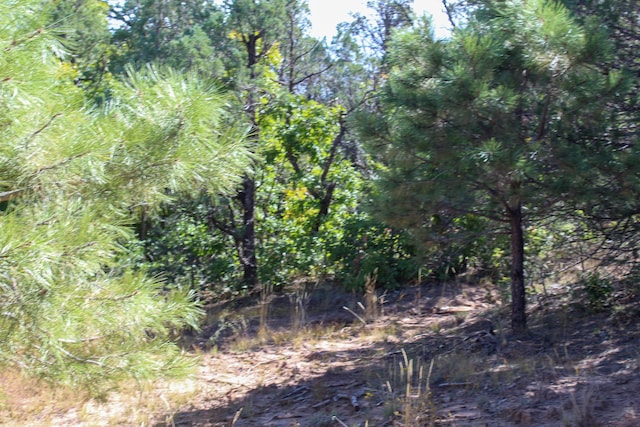 10398 Nm 337, Tijeras, NM 87059 - photo 34