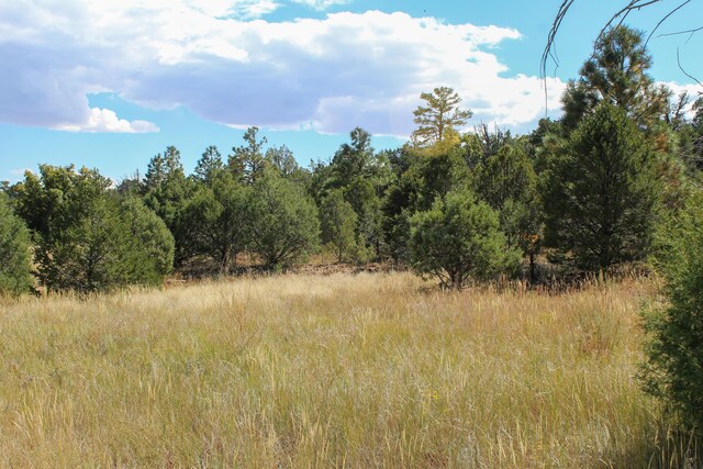 10398 Nm 337, Tijeras, NM 87059 - photo 33