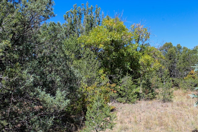 10398 Nm 337, Tijeras, NM 87059 - photo 32
