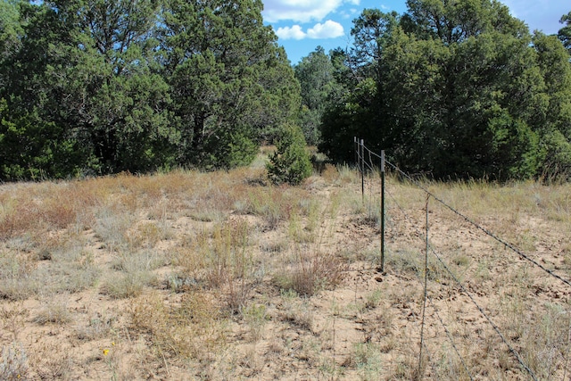 10398 Nm 337, Tijeras, NM 87059 - photo 31