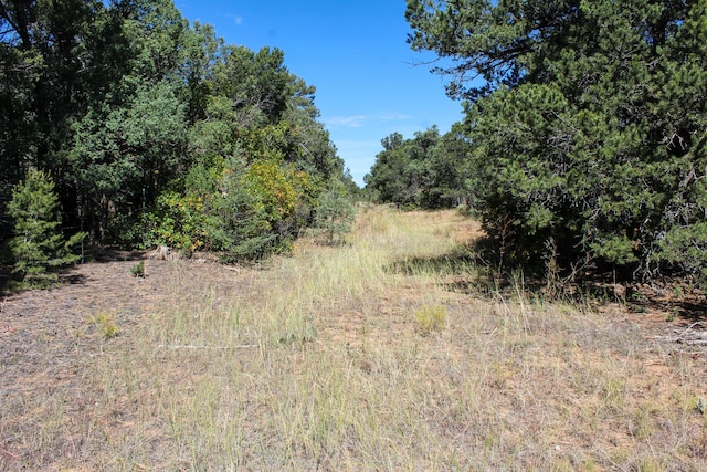 10398 Nm 337, Tijeras, NM 87059 - photo 30