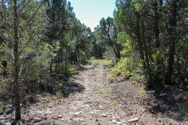 10398 Nm 337, Tijeras, NM 87059 - photo 29