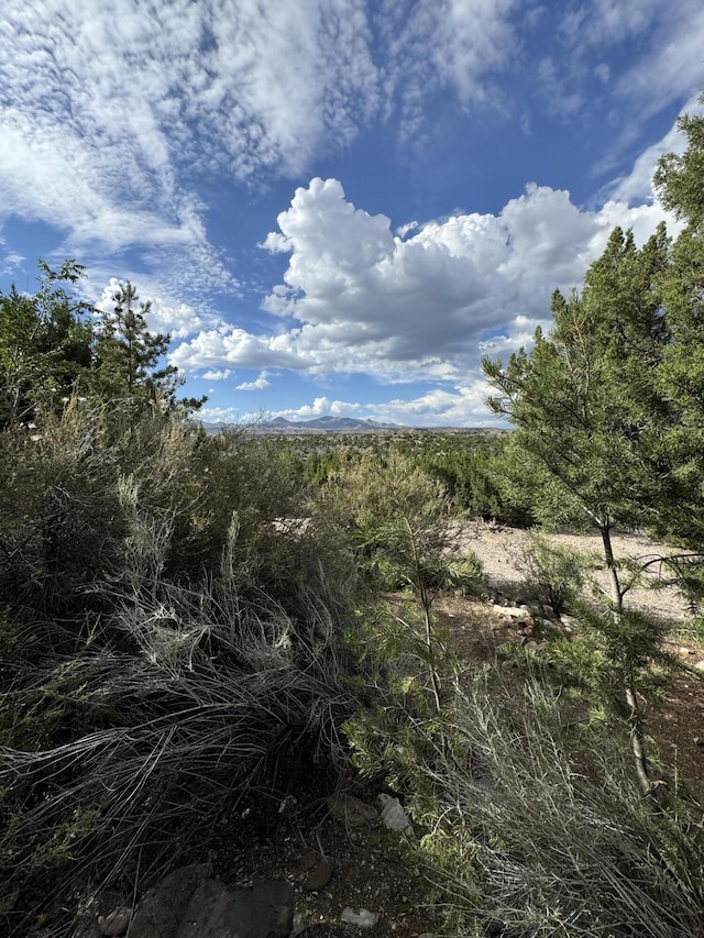 6488 Tahawash St, Cochiti Lake, NM 87083 - view of local wilderness