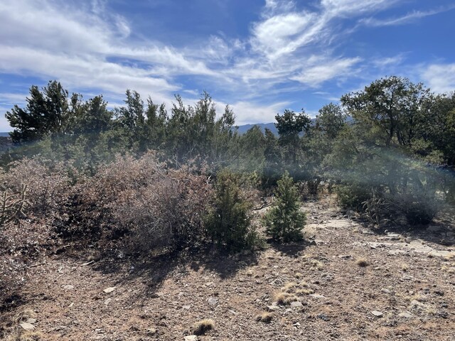 91 Rain Dance Rd, Sandia Park, NM 87047 - photo 10