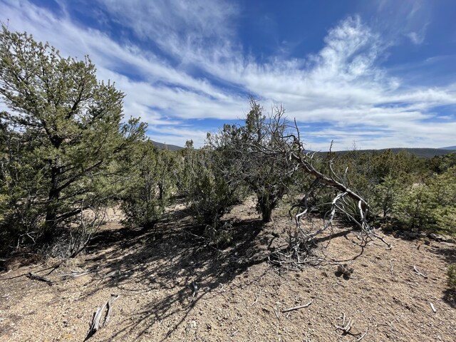 91 Rain Dance Rd, Sandia Park, NM 87047 - photo 9