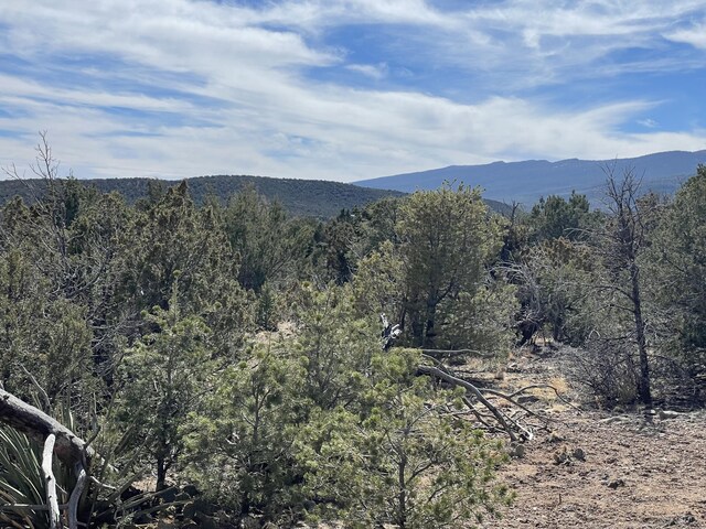 91 Rain Dance Rd, Sandia Park, NM 87047 - photo 8