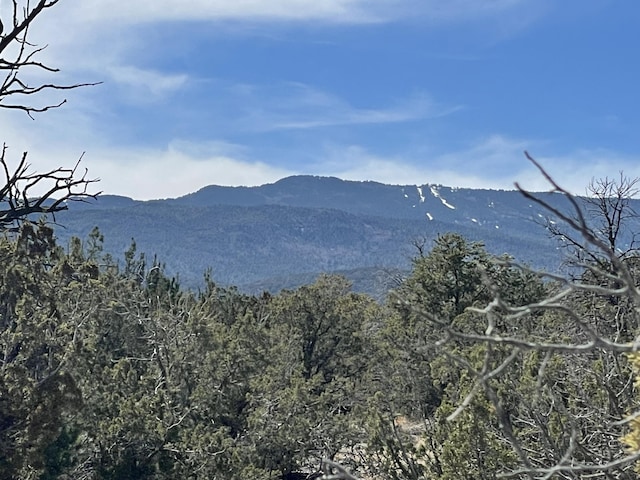 91 Rain Dance Rd, Sandia Park, NM 87047 - photo 5