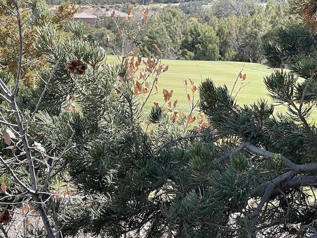 91 Rain Dance Rd, Sandia Park, NM 87047 - photo 3