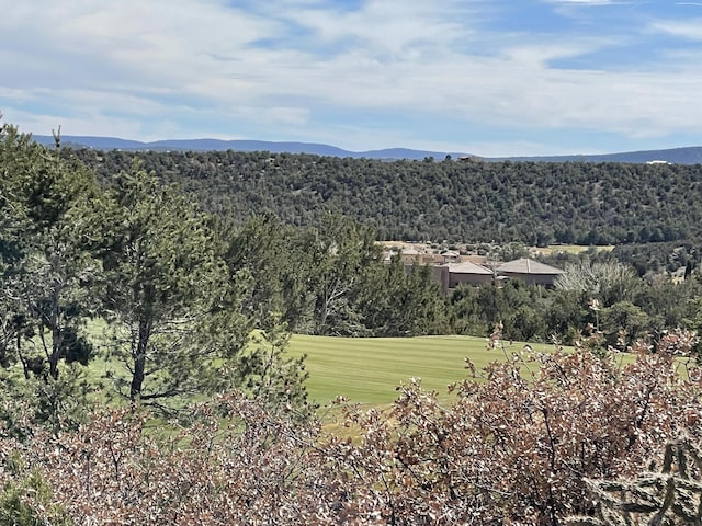 91 Rain Dance Rd, Sandia Park, NM 87047 - photo 2