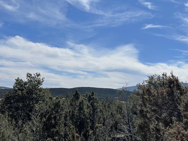 91 Rain Dance Rd, Sandia Park, NM 87047 - photo 27
