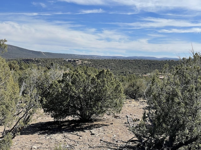 91 Rain Dance Rd, Sandia Park, NM 87047 - photo 26