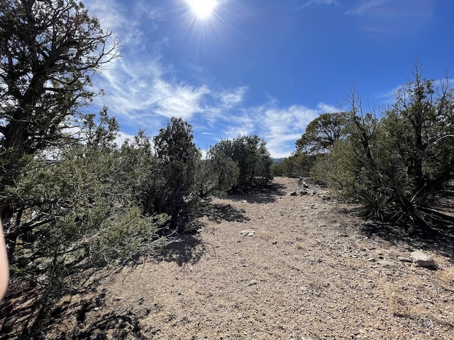 91 Rain Dance Rd, Sandia Park, NM 87047 - photo 25