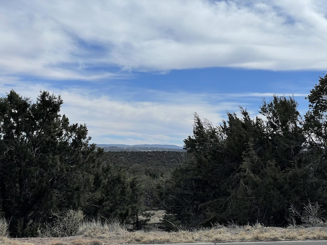 91 Rain Dance Rd, Sandia Park, NM 87047 - photo 24