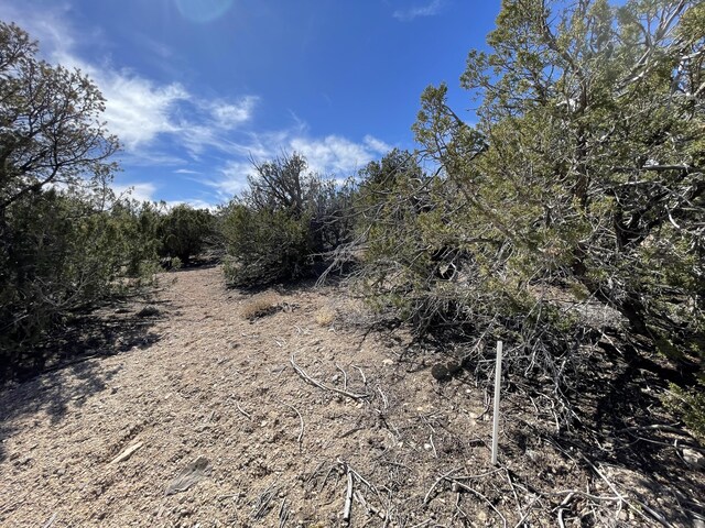 91 Rain Dance Rd, Sandia Park, NM 87047 - photo 23