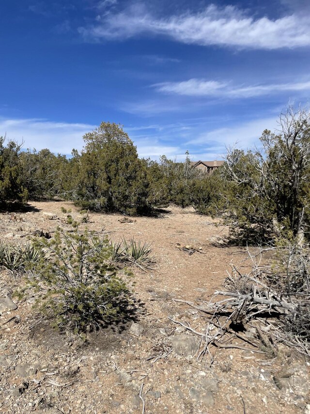 91 Rain Dance Rd, Sandia Park, NM 87047 - photo 22