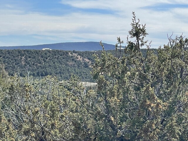 91 Rain Dance Rd, Sandia Park, NM 87047 - photo 21