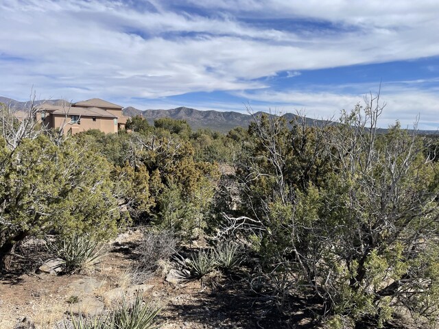 91 Rain Dance Rd, Sandia Park, NM 87047 - photo 20
