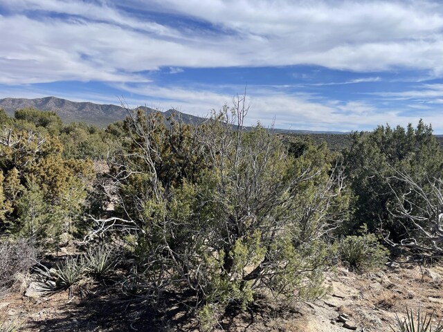 91 Rain Dance Rd, Sandia Park, NM 87047 - photo 19