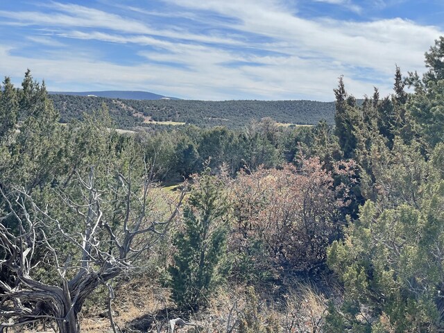 91 Rain Dance Rd, Sandia Park, NM 87047 - photo 18