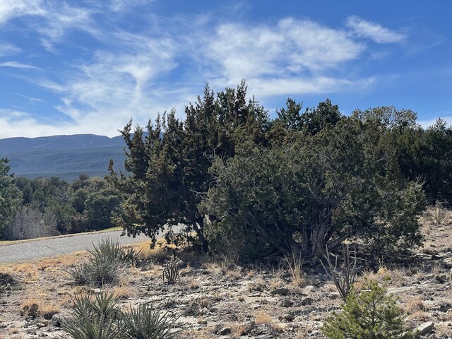 91 Rain Dance Rd, Sandia Park, NM 87047 - photo 17