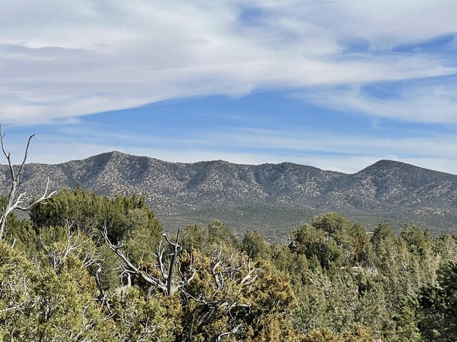 91 Rain Dance Rd, Sandia Park, NM 87047 - photo 16