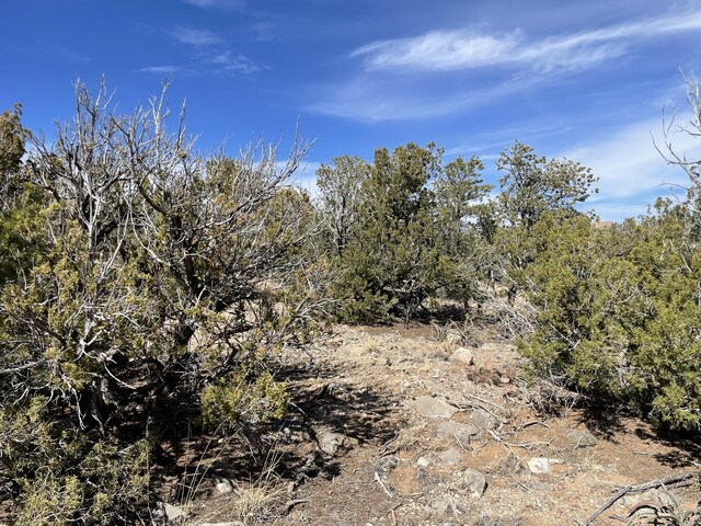 91 Rain Dance Rd, Sandia Park, NM 87047 - photo 15