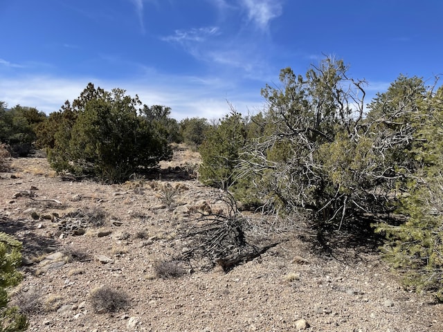 91 Rain Dance Rd, Sandia Park, NM 87047 - photo 13