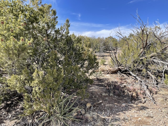 91 Rain Dance Rd, Sandia Park, NM 87047 - photo 12