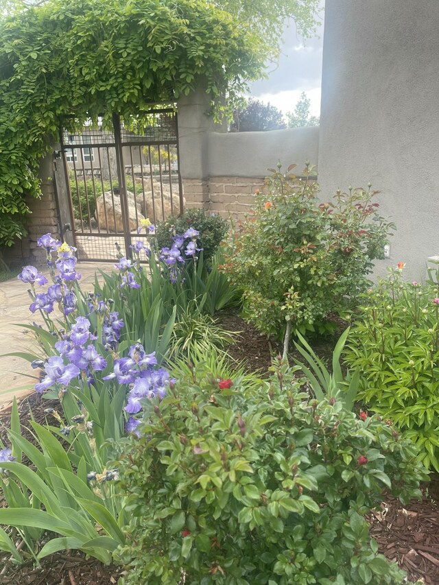 2609 Pajarito Mdws SW, Albuquerque, NM 87105 - photo 68