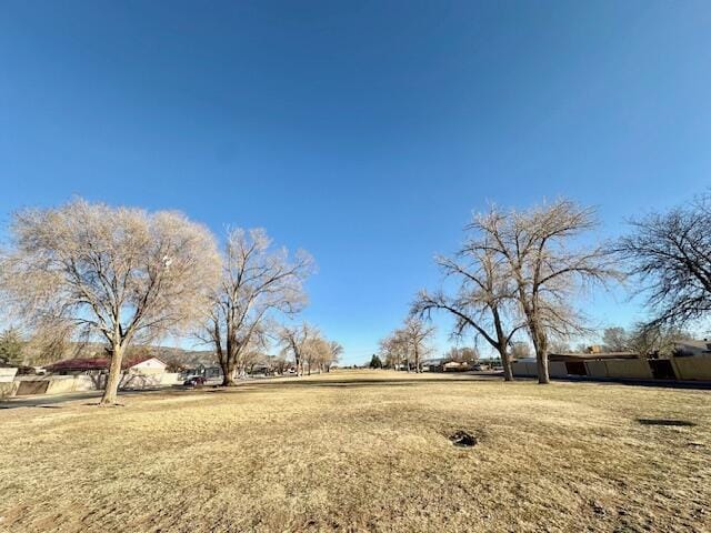 701 Houston Ave, Grants, NM 87020 - view of yard