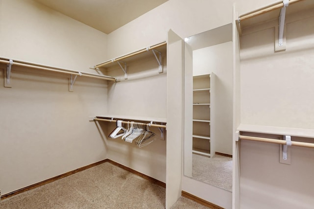 spacious closet featuring carpet flooring