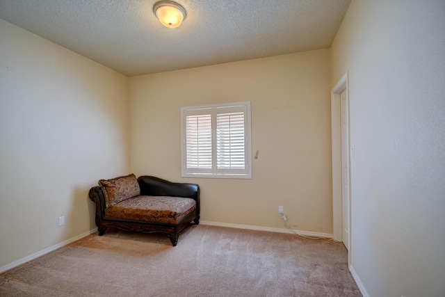 10916 Calandrias St NW, Albuquerque, NM 87114 - living area featuring carpet floors, baseboards, and a textured ceiling