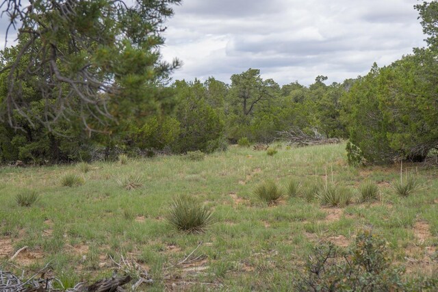 S Highway 34, Rowe, NM 87562