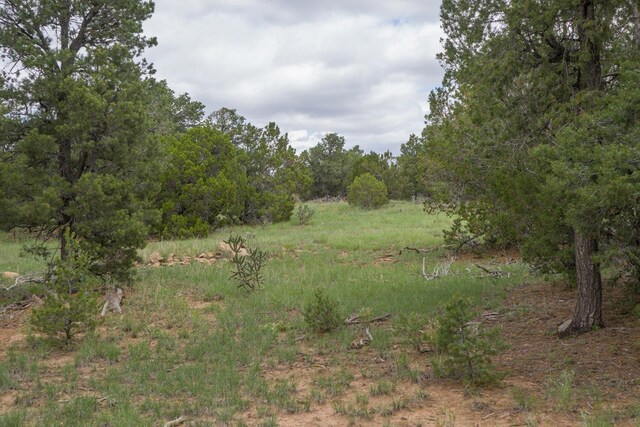 S Highway 34, Rowe, NM 87562