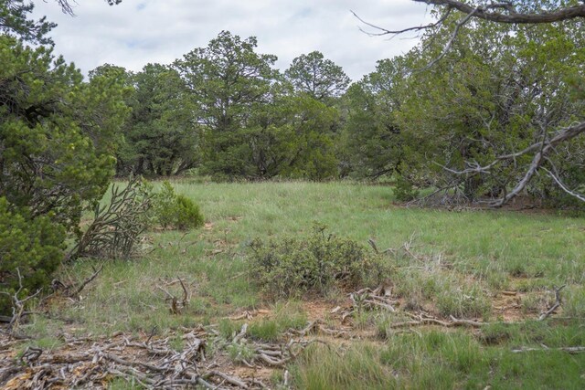 S Highway 34, Rowe, NM 87562