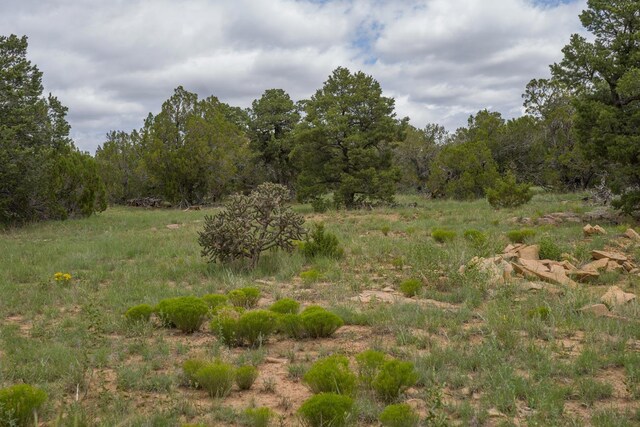 S Highway 34, Rowe, NM 87562