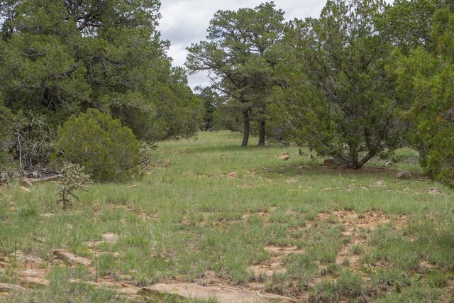 S Highway 34, Rowe, NM 87562
